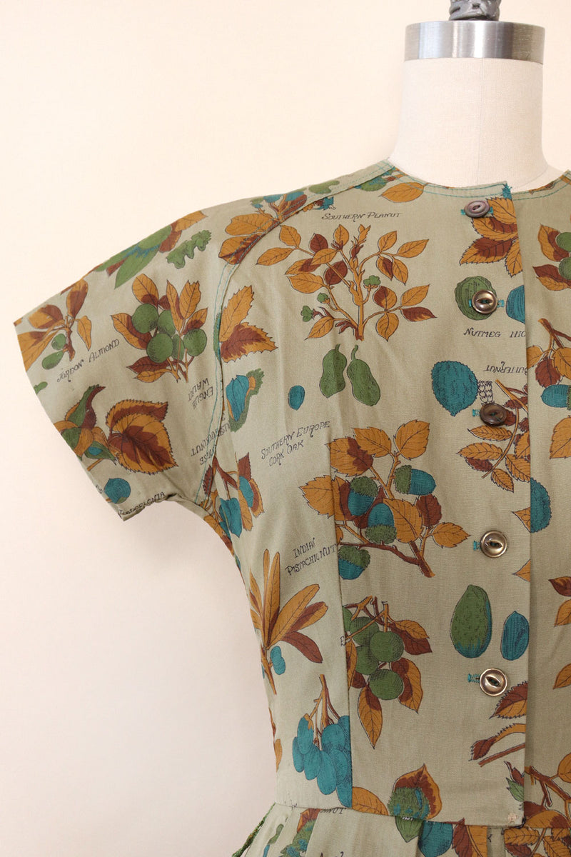 1950s Nature Guide Cotton Day Dress XS OMNIA 1950s Nature Guide Cotton Day Dress XS OMNIA