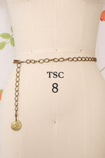 Chain Link Washington Coin Belt