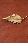 Coro Textural Leaf Brooch