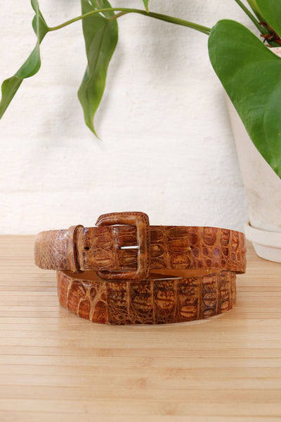 vintage caiman crocodile brown leather belt with gold buckle Caiman Crocodile Belts - The Ben Silver Collection main image 4