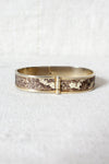 70s Snakeskin Band