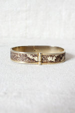 70s Snakeskin Band