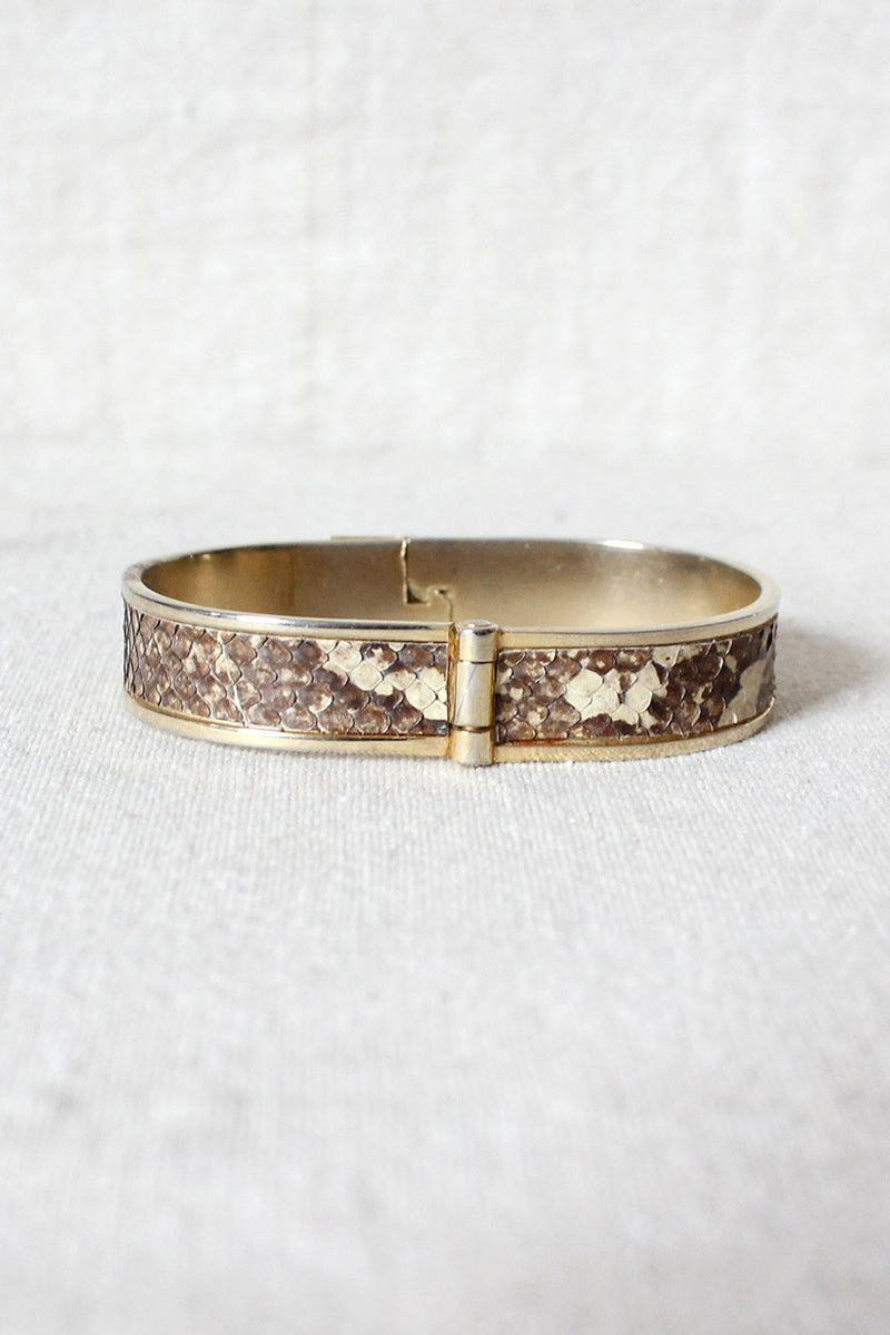 70s Snakeskin Band
