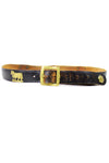 Swiss folk belt M