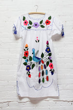 Vibrant Mexican Dress