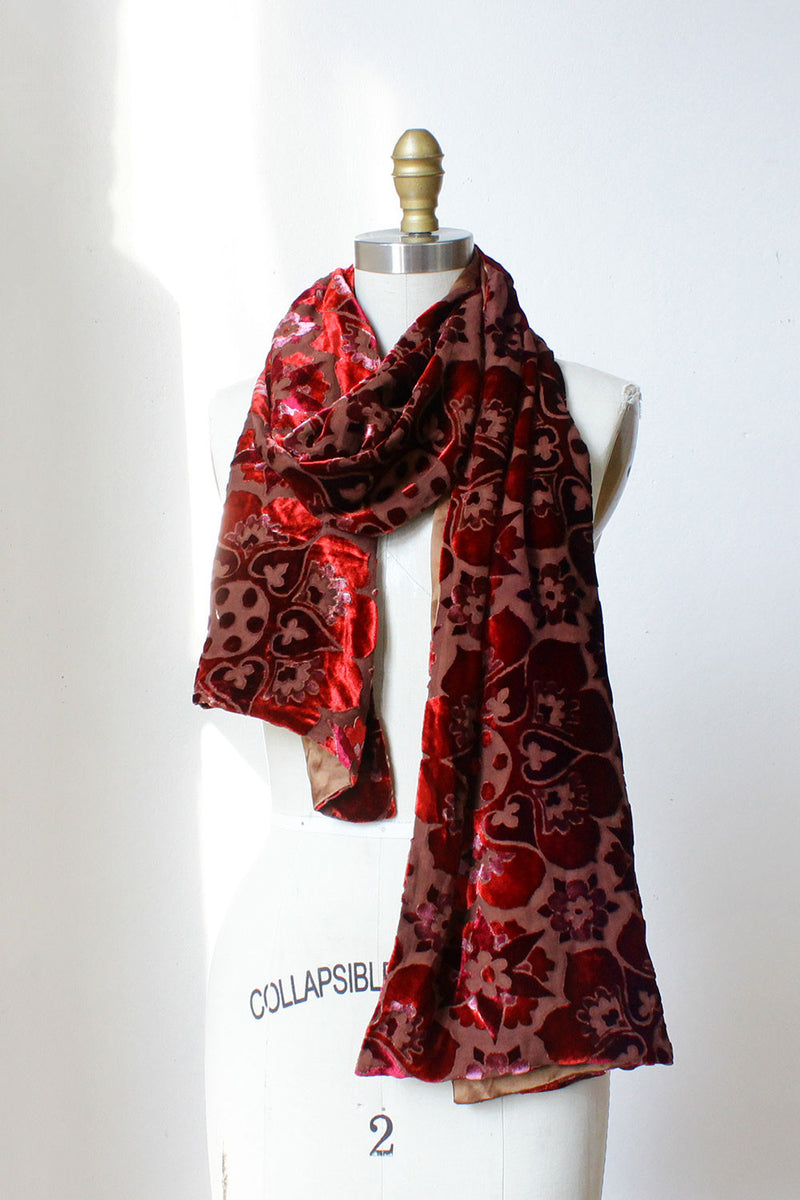 Velvet Burnout Scarf