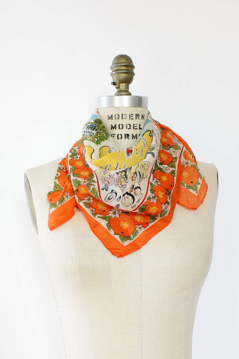 Florida State Scarf