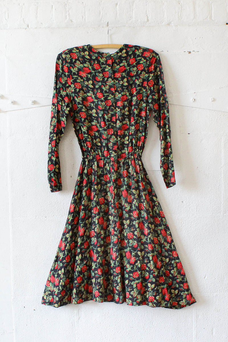 Rosy Flared Dress XS/S