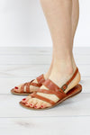 Rebecca Strappy Sandal 5 1/2
