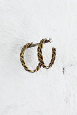 Brassy Coil Hoops