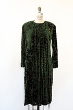 Anne Klein Ivy Velvet Burnout Dress XS/S