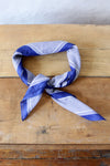 Navy Stipple Scarf