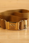 Bronze Crown Belt