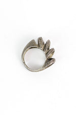 Arthropod Ring